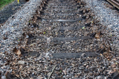 038.2020-01-06-Track-renewal-Cowpat-Crossing-to-just-beyond-Dickers-Crossing.-38-