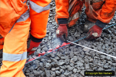 151.2020-01-08-Track-renewal-Cowpat-Crossing-to-just-beyond-Dickers-Crossing.-151-