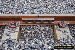 018.2020-01-31-SR-Miscellany.-18-Cowpat-Crossing-to-just-past-Dickers-Crossing-lineside-tidy-work.-