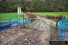 020.2020-01-31-SR-Miscellany.-20-Cowpat-Crossing-to-just-past-Dickers-Crossing-lineside-tidy-work.-