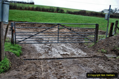 021.2020-01-31-SR-Miscellany.-21-Cowpat-Crossing-to-just-past-Dickers-Crossing-lineside-tidy-work.-