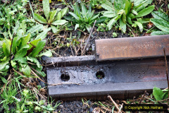 023.2020-01-31-SR-Miscellany.-23-Cowpat-Crossing-to-just-past-Dickers-Crossing-lineside-tidy-work.-