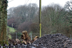 028.2020-01-31-SR-Miscellany.-28-Cowpat-Crossing-to-just-past-Dickers-Crossing-lineside-tidy-work.-
