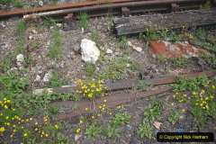 130.2020-07-11-SR-runs-its-first-train-since-lockdown.-130-