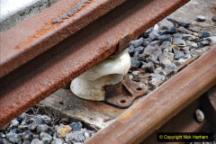 142.2020-07-11-SR-runs-its-first-train-since-lockdown.-142-