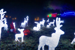 2020 October 16 SR 2020 Christmas Lights