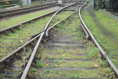 011.2020-10-30-Half-Term-week-in-Dorset-on-the-SR.-11-