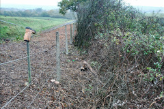 041.2020-10-30-Half-Term-week-in-Dorset-on-the-SR.-41-
