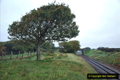 045.2020-10-30-Half-Term-week-in-Dorset-on-the-SR.-45-