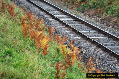 048.2020-10-30-Half-Term-week-in-Dorset-on-the-SR.-48-