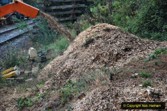 085.2020-10-30-Half-Term-week-in-Dorset-on-the-SR.-85-