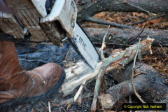 093.2020-10-30-Half-Term-week-in-Dorset-on-the-SR.-93-