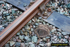 101.2020-10-30-Half-Term-week-in-Dorset-on-the-SR.-101-