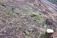 102.2020-10-30-Half-Term-week-in-Dorset-on-the-SR.-102-