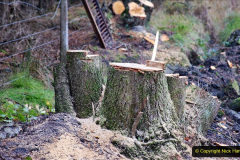 103.2020-10-30-Half-Term-week-in-Dorset-on-the-SR.-103-