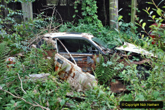 102.2020-09-02-Covid-19-running-on-the-SR.-102-Found-in-the-undergrowth-in-CC-yard.-