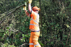 205.2020-09-29-SR-Stone-Blowing-and-Trackside-Clearance.-205-