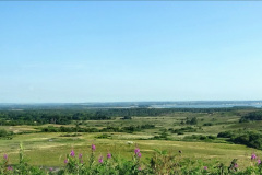 009.2020-06-23-Swanage-Railway-still-in-lockdown.-9-View-of-Poole-from-the-Purbeck-Hills.-
