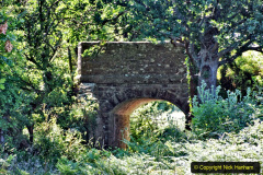 019.2020-06-23-Swanage-Railway-still-in-lockdown.-19-Norden.-