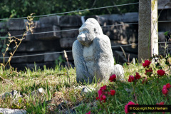 046.2020-06-23-Swanage-Railway-still-in-lockdown.-46-Norden.-