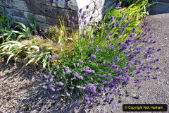 057.2020-06-23-Swanage-Railway-still-in-lockdown.-57-Corfe-Castle.-