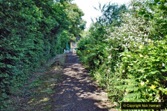 086.2020-06-23-Swanage-Railway-still-in-lockdown.-86-Harmans-Cross.-