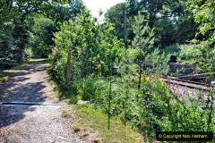100.2020-06-23-Swanage-Railway-still-in-lockdown.-100-Harmans-Cross.-