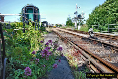 118.2020-06.-23-Swanage-Railway-still-in-lockdown.-118-Swanage.-
