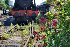 130.2020-06.-23-Swanage-Railway-still-in-lockdown.-130-Swanage.-