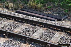 037.2021-08-24-SR-Miscellany-Number-6.-37-