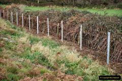 200.2021-12-01-Harmans-X-Station-Stock-at-Harmans-X-Track-Gang-at-Harmans-X.-200-Corfe-Castle-Viaduct-work-completed.-