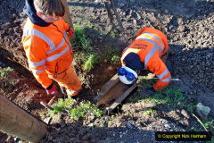 078.2020-01-10-Track-renewal-Cowpat-Crossing-to-just-beyond-Dickers-Crossing.-78-Track-and-drainage-work.-