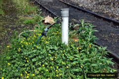 045.2021-07-02-SR-Town-Country.-45-