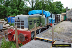 015.2021-06-08-Miscellany-at-Corfe-Castle.-15-