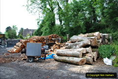 024.2021-06-08-Miscellany-at-Corfe-Castle.-24-