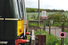 055.2021-06-08-Miscellany-at-Corfe-Castle.-55-