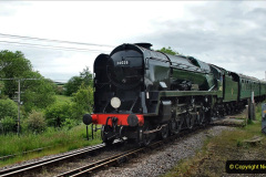 057.2021-06-08-Miscellany-at-Corfe-Castle.-57-