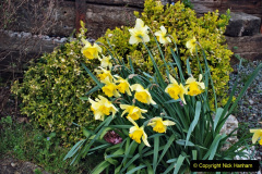 081.2021-04-03-SR-Staff-training-day.-81-Swanage.-On-the-way-to-the-SR