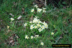 094.2021-04-03-SR-Staff-training-day.-94-Swanage.-On-the-way-to-the-SR