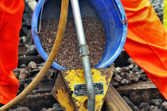 125.2021-11-10-Track-Gang-work-at-Corfe-Castle-plus-Swanage-Norden.-125-