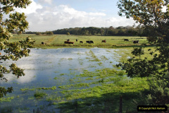 005.2021-10-20-Bridges-3-4-fencing-and-tidy-up-completed.-5-