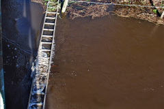 013.2021-10-20-Bridges-3-4-fencing-and-tidy-up-completed.-13-
