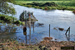 028.2021-10-20-Bridges-3-4-fencing-and-tidy-up-completed.-28-