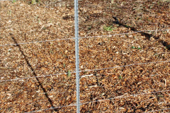 036.2021-10-20-Bridges-3-4-fencing-and-tidy-up-completed.-36-