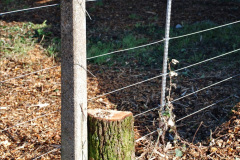 037.2021-10-20-Bridges-3-4-fencing-and-tidy-up-completed.-37-