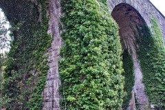 019.2021-10-27-SR-Track-Gang-more-Corfe-Castle-lineside-work.-19-