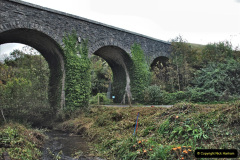 031.2021-10-27-SR-Track-Gang-more-Corfe-Castle-lineside-work.-31-