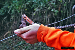 051.2021-10-27-SR-Track-Gang-more-Corfe-Castle-lineside-work.-51-