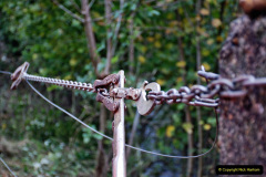 055.2021-10-27-SR-Track-Gang-more-Corfe-Castle-lineside-work.-55-