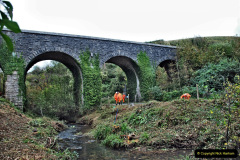 081.2021-10-27-SR-Track-Gang-more-Corfe-Castle-lineside-work.-81-